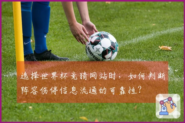 选择世界杯竞猜网站时，如何判断阵容伤停信息流通的可靠性？