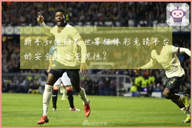 新手如何辨别世界杯体彩竞猜平台的安全性与正规性？