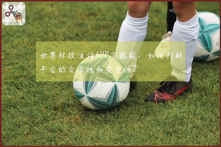 世界杯投注站APP下载前，如何判断平台的合法性和安全性？