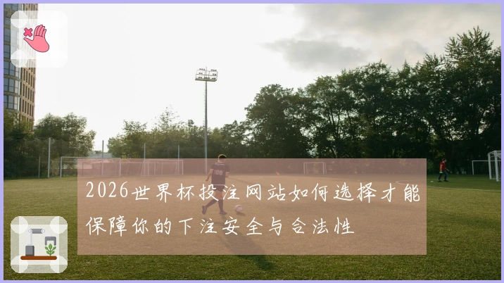 2026世界杯投注网站如何选择才能保障你的下注安全与合法性