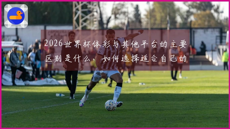 2026世界杯体彩与其他平台的主要区别是什么，如何选择适合自己的下注渠道