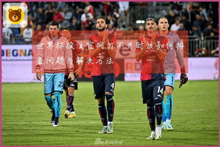 世界杯投注官网打不开时该如何排查问题与解决方法