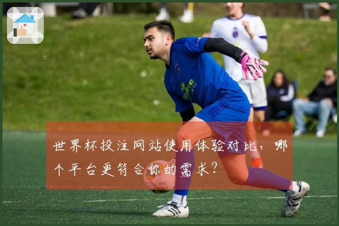 世界杯投注网站使用体验对比，哪个平台更符合你的需求？
