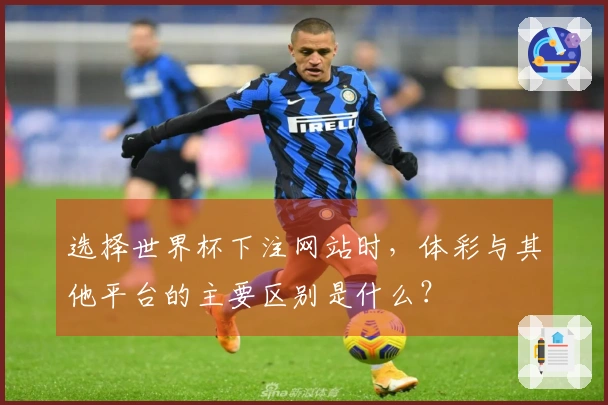 选择世界杯下注网站时,体彩与其他平台的主要区别是什么?