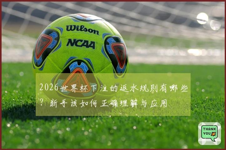2026世界杯下注的返水规则有哪些？新手该如何正确理解与应用
