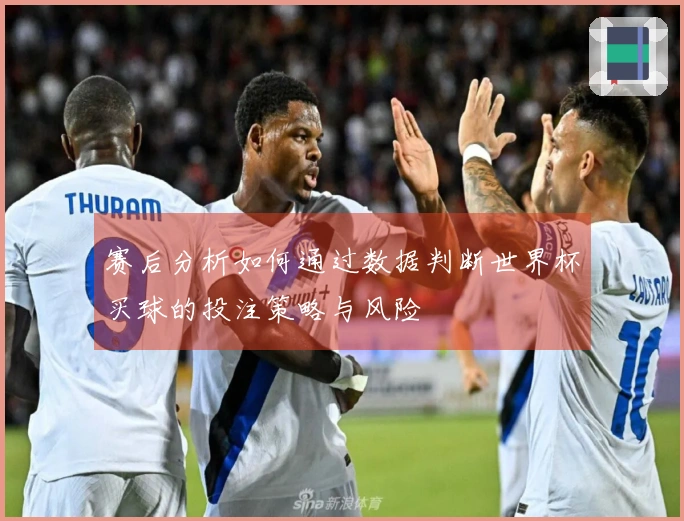 赛后分析如何通过数据判断世界杯买球的投注策略与风险