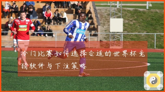 冷门比赛如何选择合适的世界杯竞猜软件与下注策略