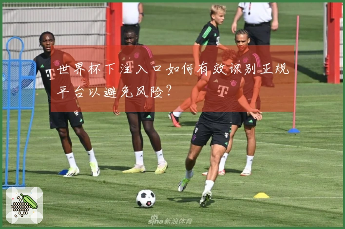 世界杯下注入口如何有效识别正规平台以避免风险？