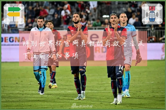 辨别世界杯官网真假的有效方法及下注前必知事项
