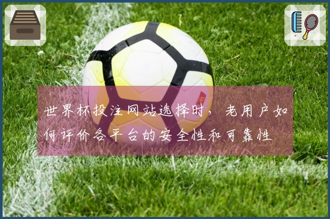 世界杯投注网站选择时，老用户如何评价各平台的安全性和可靠性