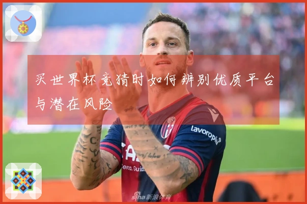 买世界杯竞猜时如何辨别优质平台与潜在风险