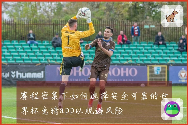 赛程密集下如何选择安全可靠的世界杯竞猜app以规避风险