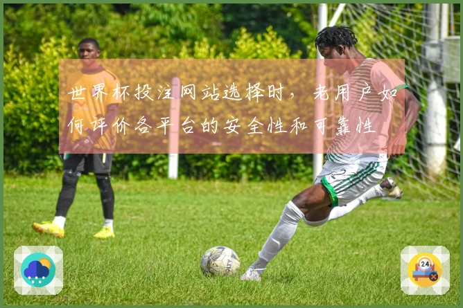 世界杯投注网站选择时，老用户如何评价各平台的安全性和可靠性