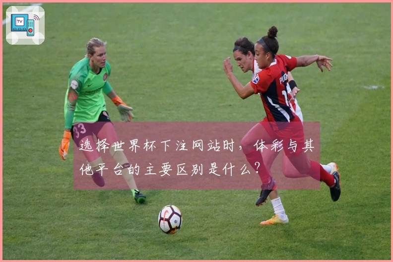 选择世界杯下注网站时，体彩与其他平台的主要区别是什么？