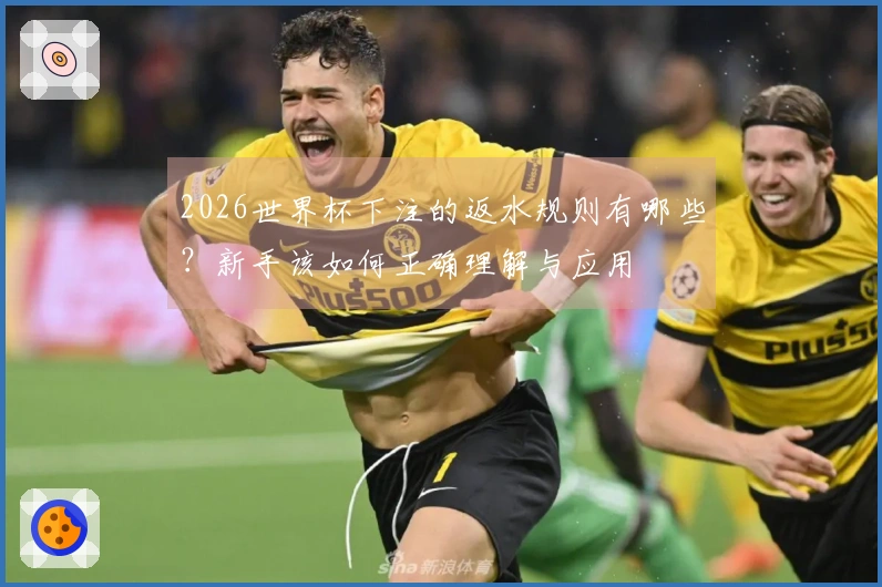 2026世界杯下注的返水规则有哪些？新手该如何正确理解与应用