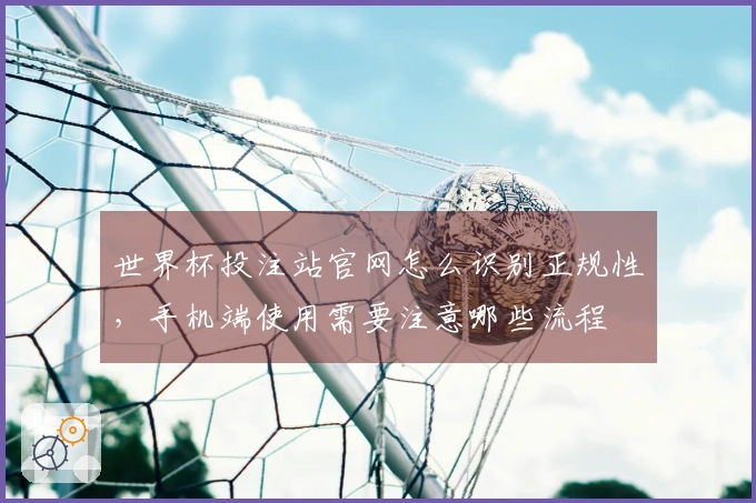 世界杯投注站官网怎么识别正规性，手机端使用需要注意哪些流程