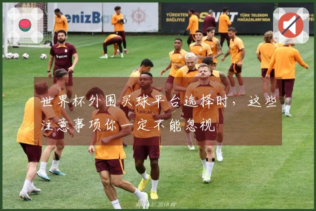 世界杯外围买球平台选择时，这些注意事项你一定不能忽视