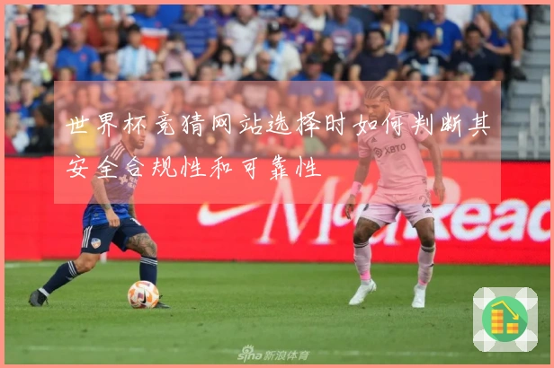 世界杯竞猜网站选择时如何判断其安全合规性和可靠性