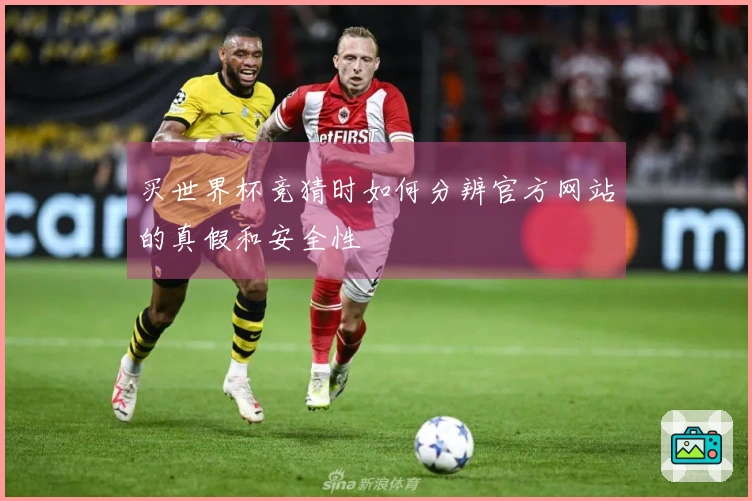 买世界杯竞猜时如何分辨官方网站的真假和安全性