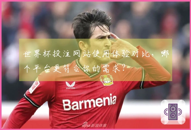 世界杯投注网站使用体验对比，哪个平台更符合你的需求？