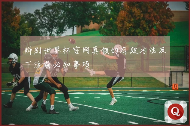 辨别世界杯官网真假的有效方法及下注前必知事项