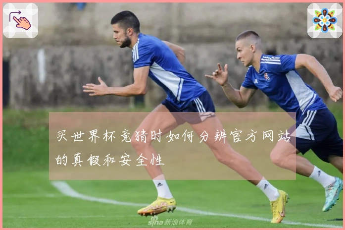 买世界杯竞猜时如何分辨官方网站的真假和安全性