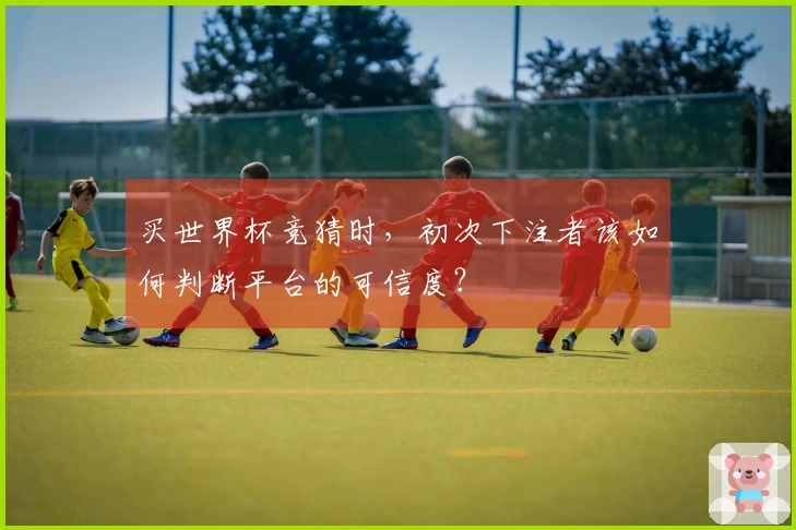 买世界杯竞猜时，初次下注者该如何判断平台的可信度？