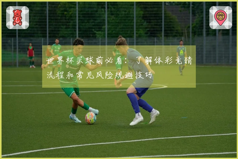 世界杯买球前必看：了解体彩竞猜流程和常见风险规避技巧