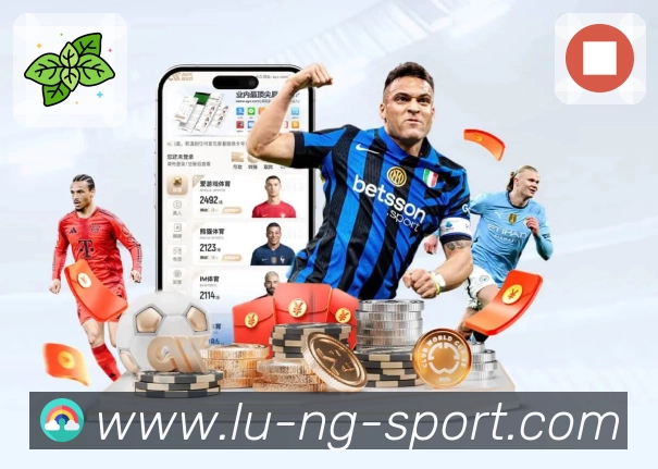 NG体育 App